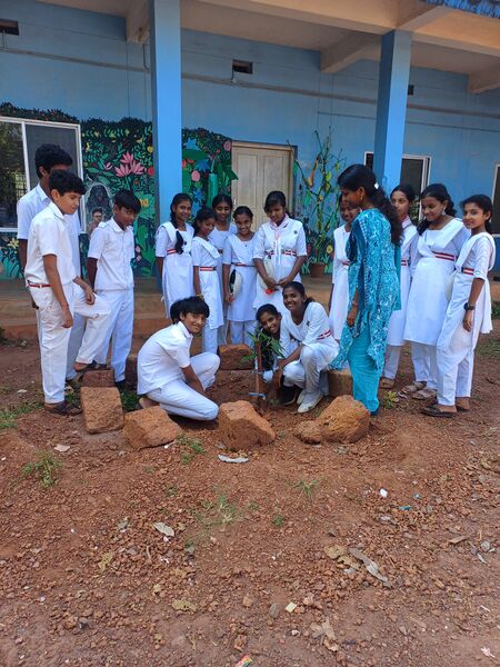 പ്രമാണം:12060 KSD MAVU2.jpg