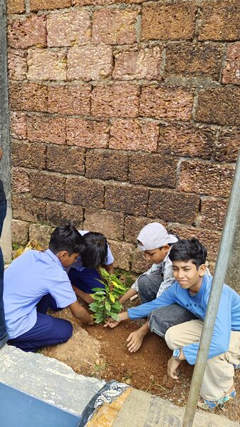 പ്രമാണം:13462 june5 1 (3).jpg