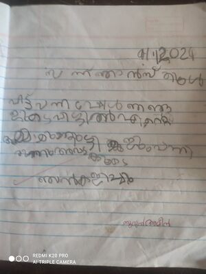 19660-MLP-KUNJ-NURUL AMEEN.jpeg