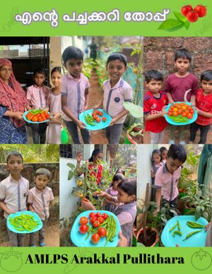 19801 Vegetable garden.jpeg