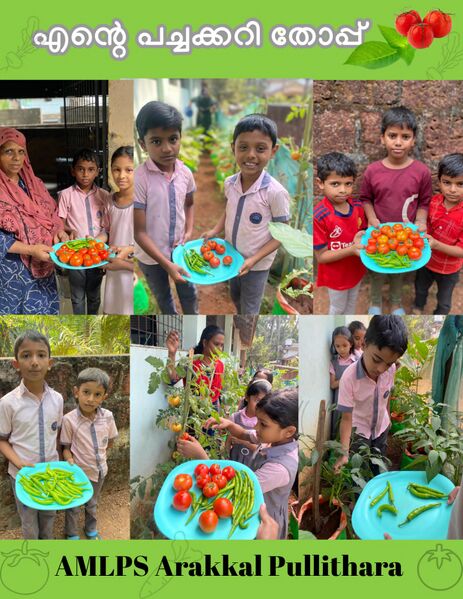 പ്രമാണം:19801 Vegetable garden.jpeg