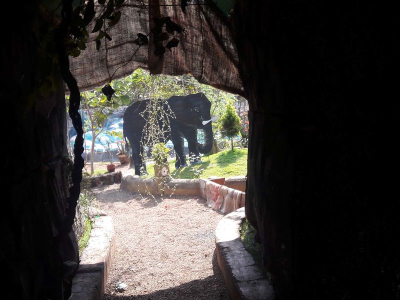 പ്രമാണം:20171228 110733.jpg