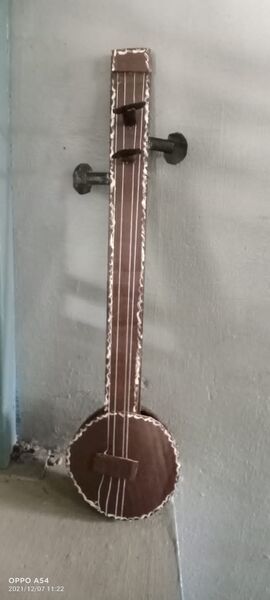 പ്രമാണം:25037 veena.jpeg