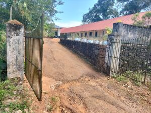 28218ente school.jpg