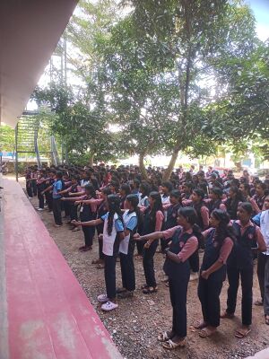 36037 freesoft d.jpeg