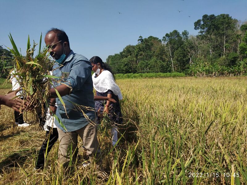 പ്രമാണം:39024 Index.jpeg