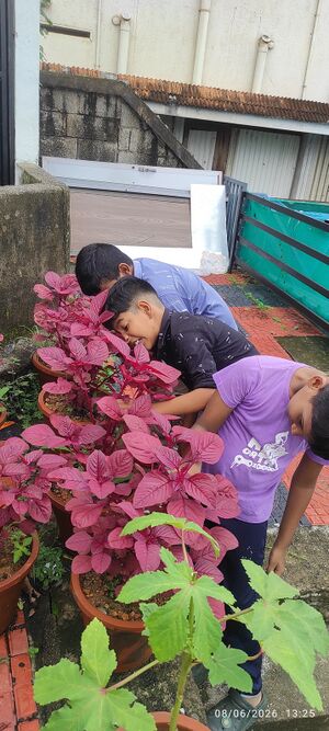 43212- CheeraKrishi-june.jpeg