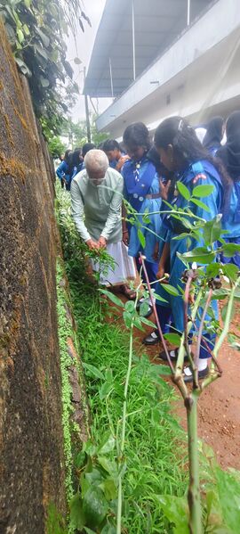 പ്രമാണം:8ffc4e87-1664-4a0e-a1ad-30591a4875ea.jpg
