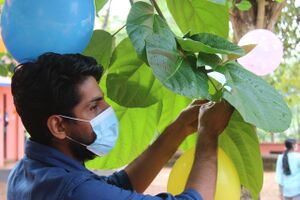 BS21 KNR 13064 1.jpg