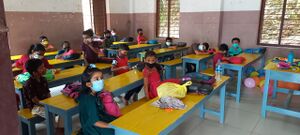 BS21 MLP 48134 1.jpg