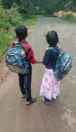 BS21 TVM 42429 4.jpg