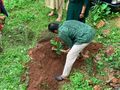 12:48, 9 ജൂൺ 2026-ലെ പതിപ്പിന്റെ ലഘുചിത്രം