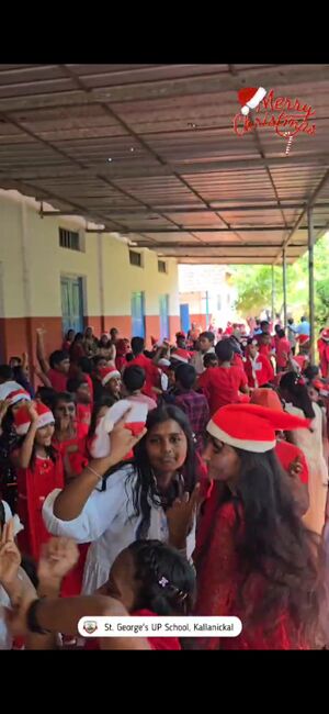 29326 christmascelebration.jpeg