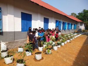 31056 pachakkari2.jpeg