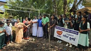 34013karakrishi seed25 a.jpg