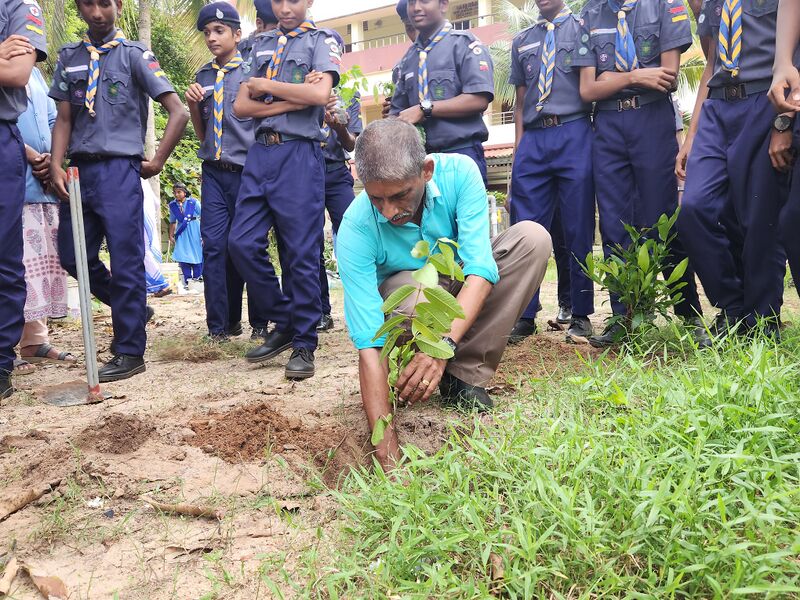 പ്രമാണം:35052 environmentalday 2425-12.jpg