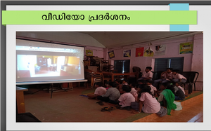 37259 survey plastic VIdeo.png