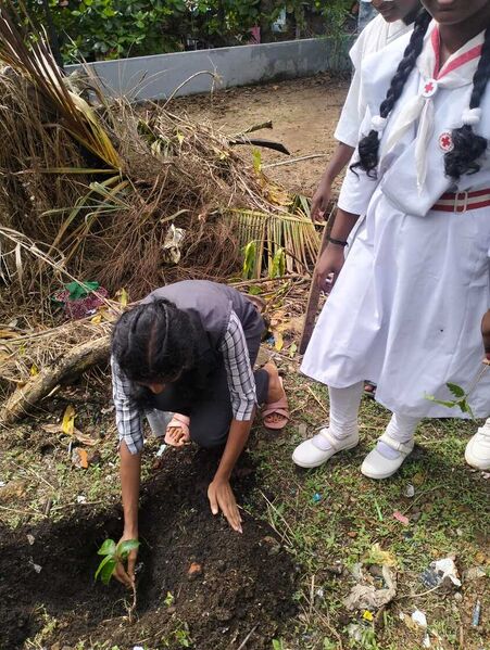 പ്രമാണം:38042 paristhithi 26 09.jpg