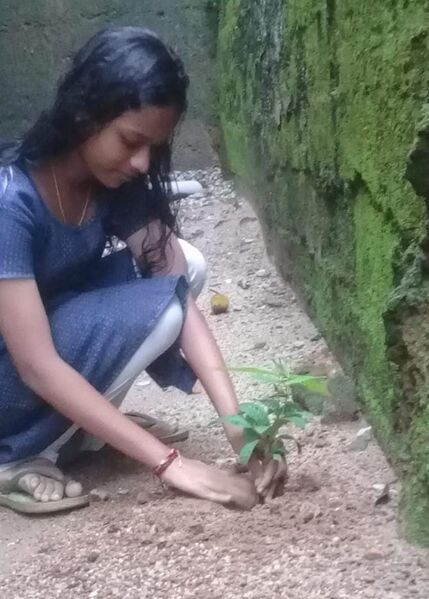 പ്രമാണം:44018 e8.jpg