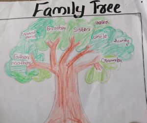 44240-TVM-KUN-ADHISH 1B.jpeg