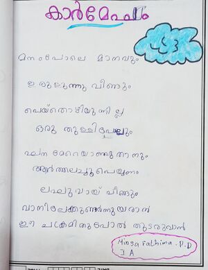 44531 tvm kunj minza.jpg