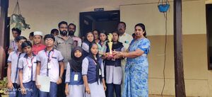 44555 arabickaloisavam.jpeg