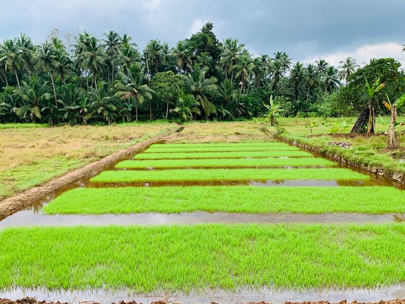 പ്രമാണം:IMG20240119 24.jpeg