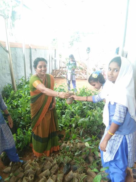 പ്രമാണം:JUNE 5.jpg