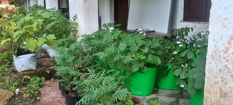 പ്രമാണം:Nallapadam 2.jpg