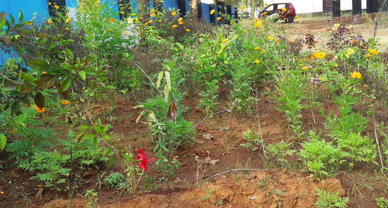 പ്രമാണം:Screenshot from 2022-01-25 14-14-16.png