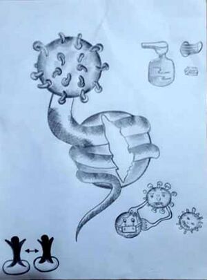 13029-Corona virus.jpg