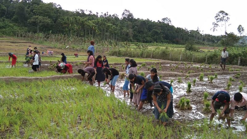 പ്രമാണം:15051 nature cubb.jpg