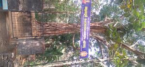 20240115 135628.rotated.jpg