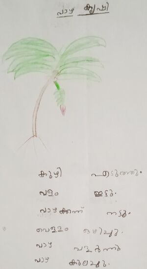 23326-TSR-KUNJ-Jayasya M A.jpg