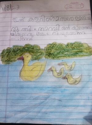 24042-TSR-KUNJ-SANA NASRIN.jpeg