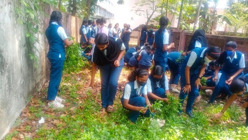 പ്രമാണം:26064 പരിസ്ഥിതി 1.jpeg