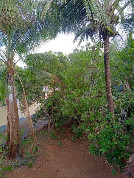 പ്രമാണം:26261 gramam.jpeg