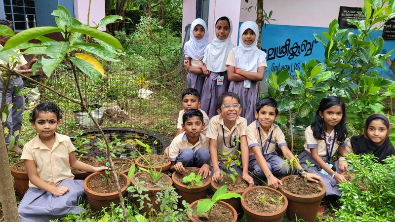 പ്രമാണം:29228 sed.jpg