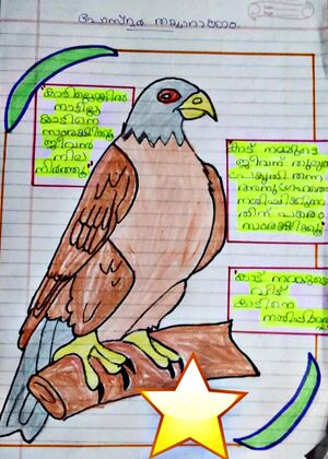 29312 malayalamclub2.jpg