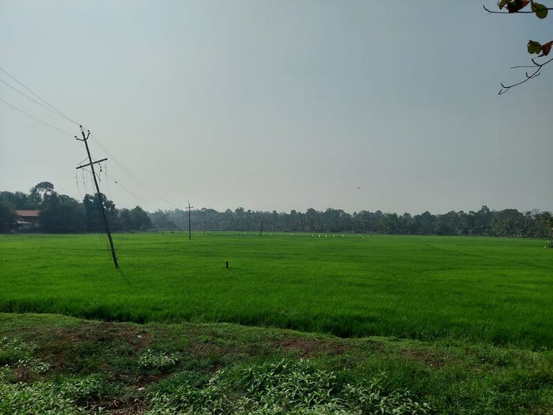 പ്രമാണം:33056 feb5 12.jpeg