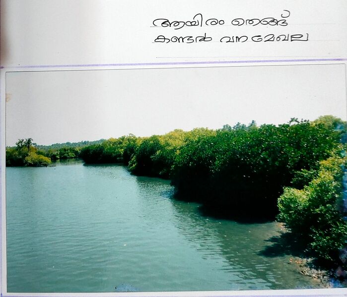 പ്രമാണം:36053 kandal3.jpeg