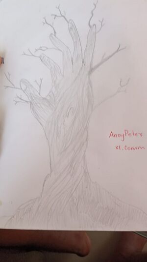 Anoy Peter ,+1 Commerce.jpg