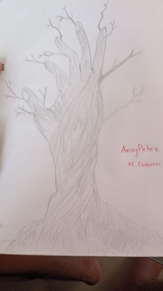 പ്രമാണം:Anoy Peter ,+1 Commerce.jpg