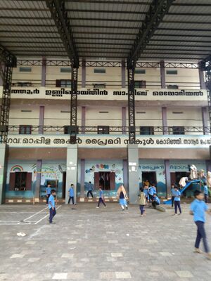 IMG 20231027 114101.jpg