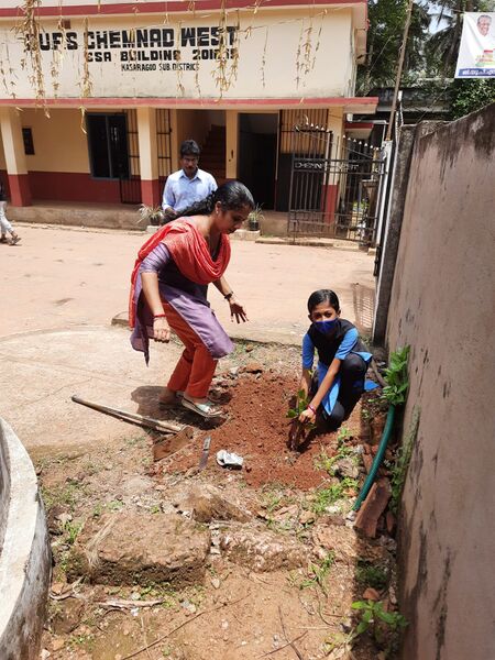 പ്രമാണം:11453 evn1.jpeg