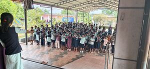 12343-vayana7.jpg