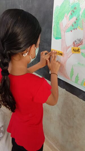 13910 hello english 1.jpeg