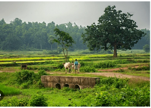 19779 village life.png