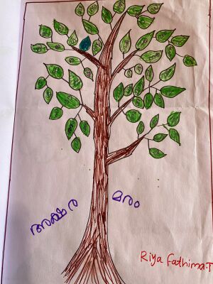 20660-pkd-Riya fathima.jpeg