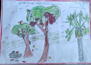 21302-PKD-KUNJ-ASWIN S 1.jpg